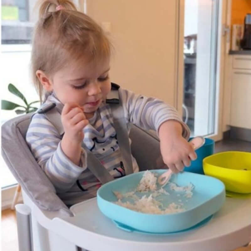 Beaba Silicone Suction Plate