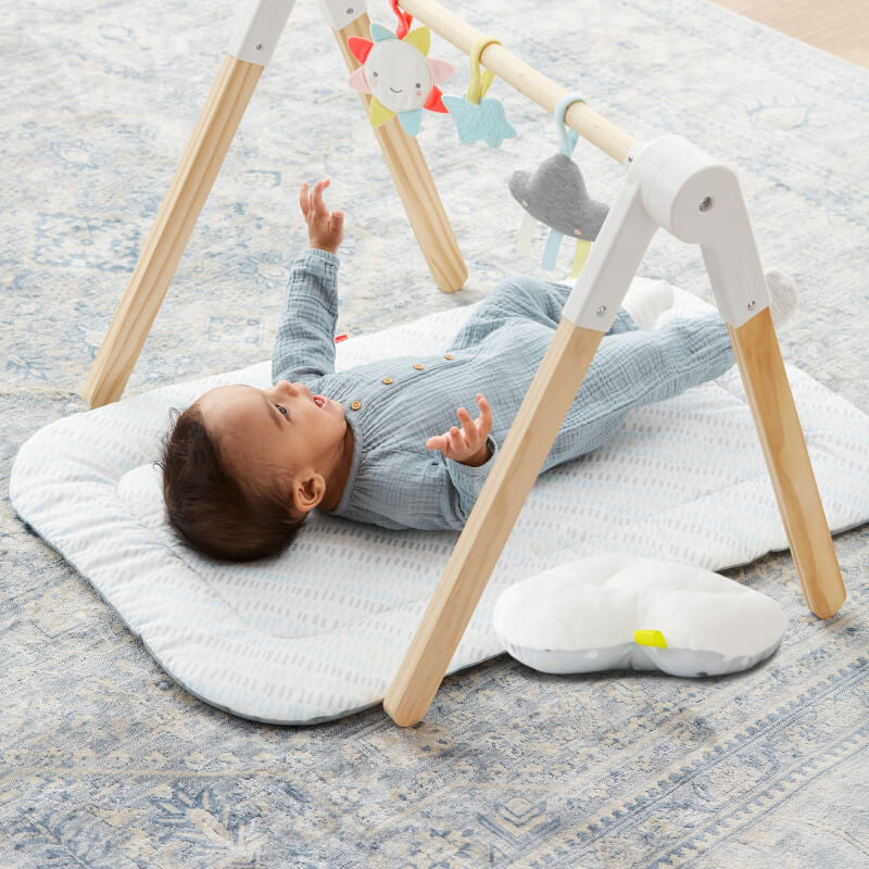 Skip Hop Silver Lining Cloud Wooden Activity Gym