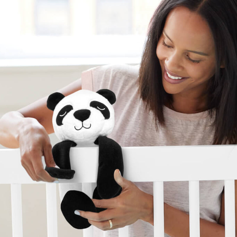 Cry Activated Soother - Panda