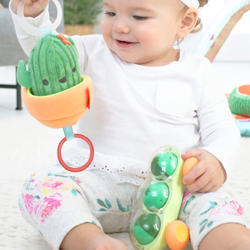 Skip Hop Farmstand Pod Squad Car