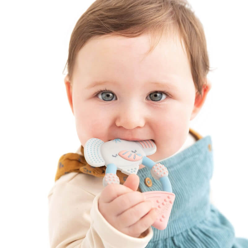 Cheeky Chompers Teething Toy - Darcy the Elephant